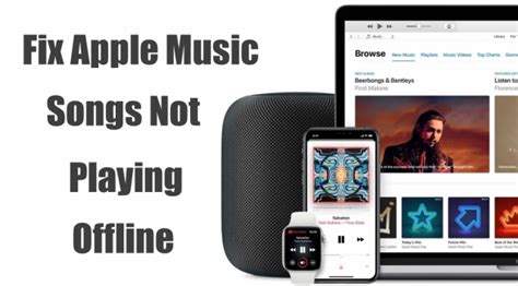 apple music songs not playing: How does the absence of music in your Apple Music library affect your mood and productivity?