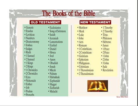 How Many Books of the Bible Are Missing – A Discourse on Textual Loss and Interpretation