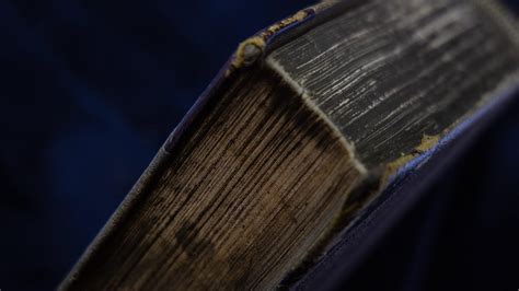 How to Get Rid of Mold on Books: A Comprehensive Guide and the Curious Case of Bookworms